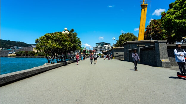 Essential Free Tour Wellington2