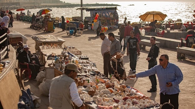 Alexandria Highlight3