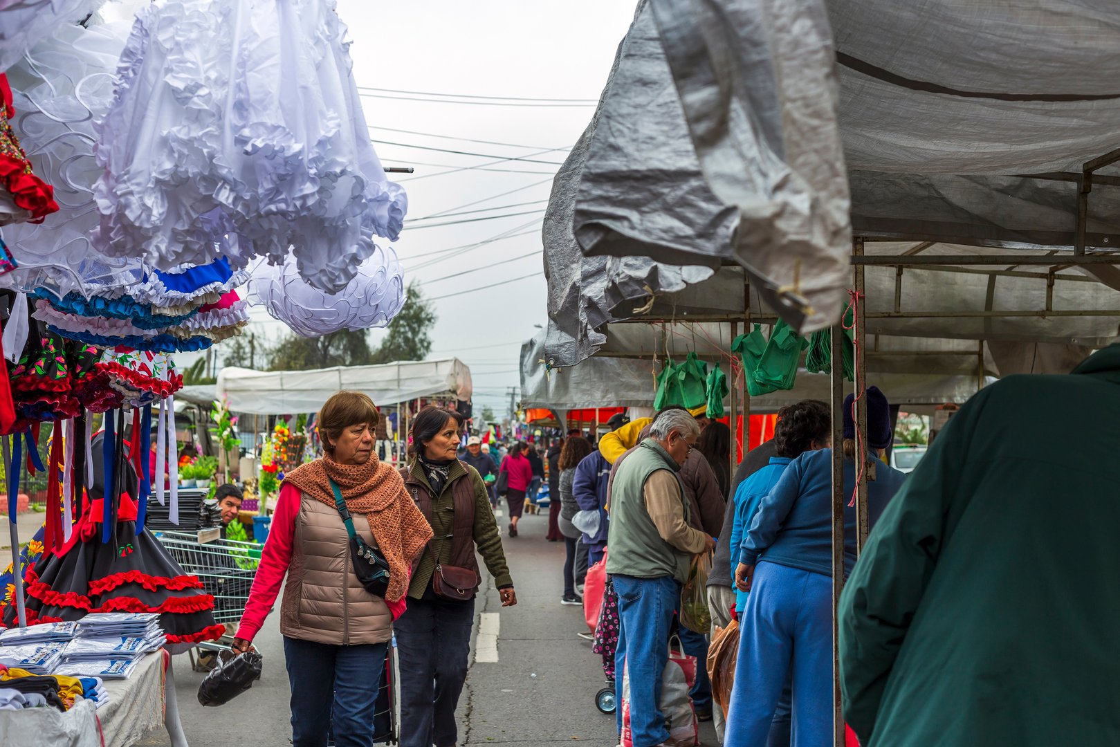 Free Franklin Tour Santiago1
