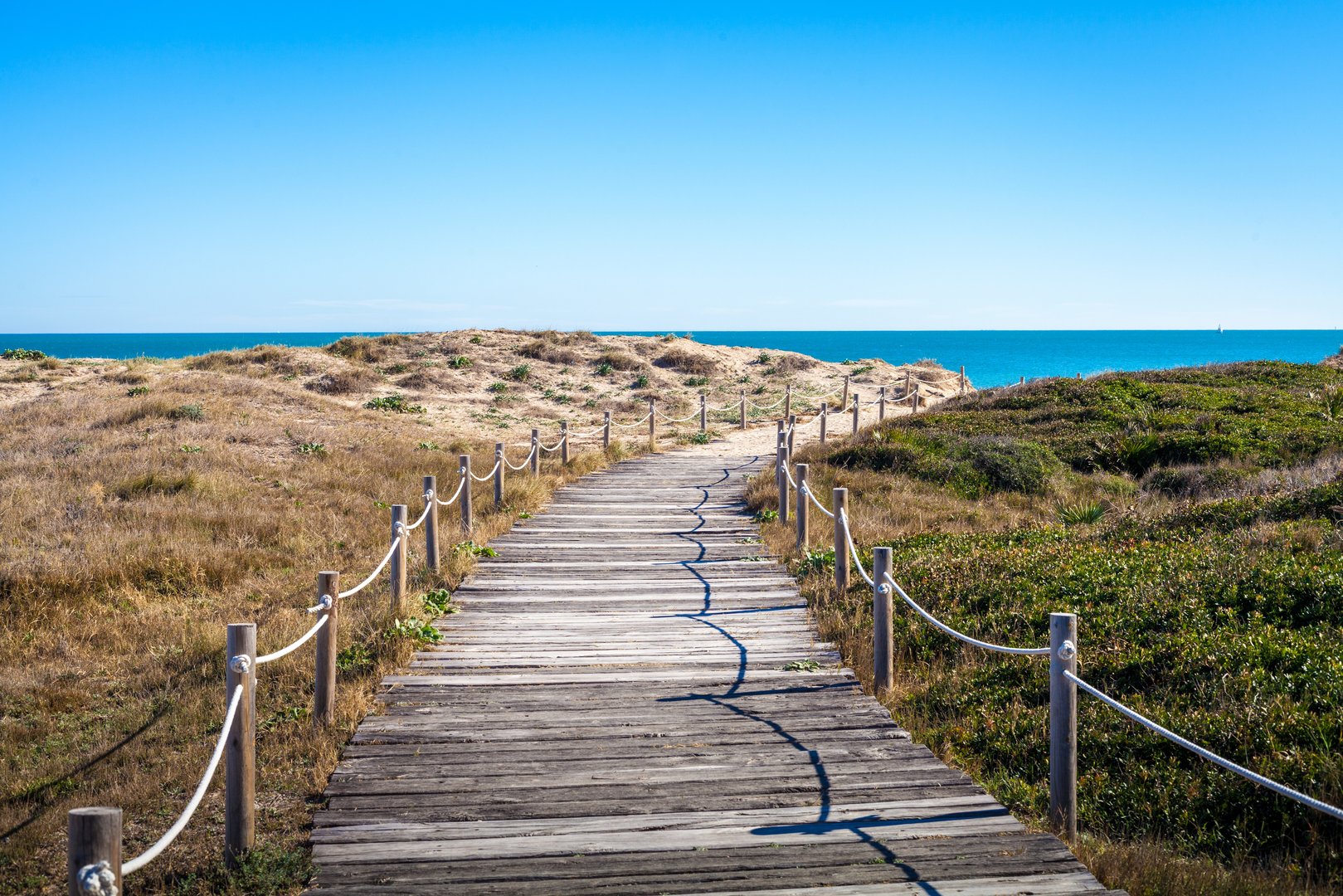 Free Albufera Bike Tour Valencia3