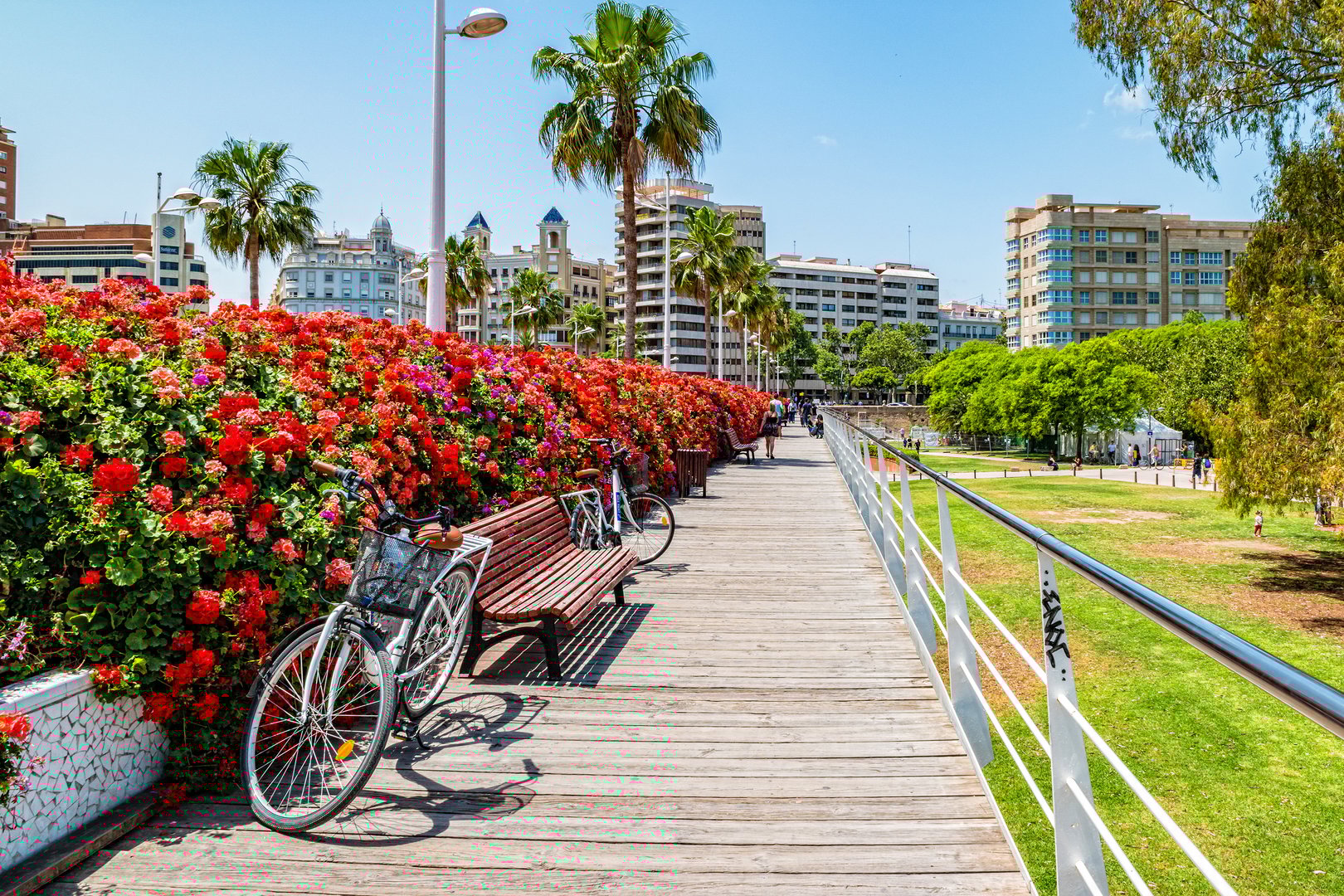 Free Bike Tour Valencia1