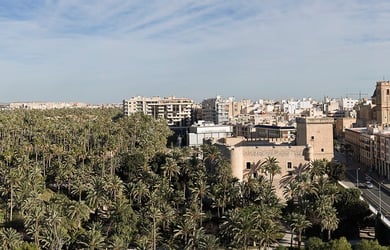 Elche Skyline