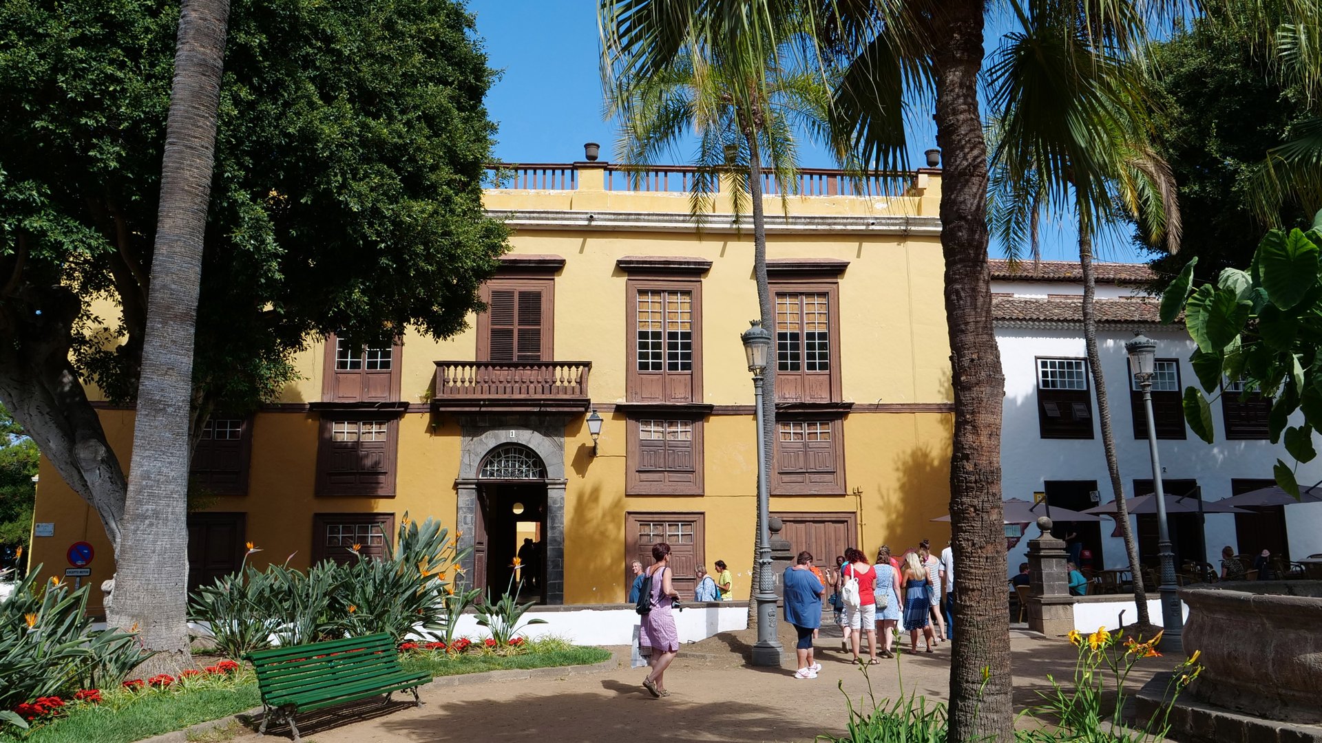 Free Icod de los Vinos Tour Tenerife5