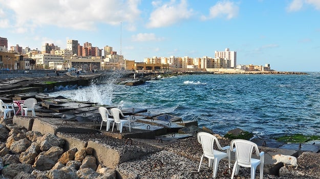 Alexandria Highlight1