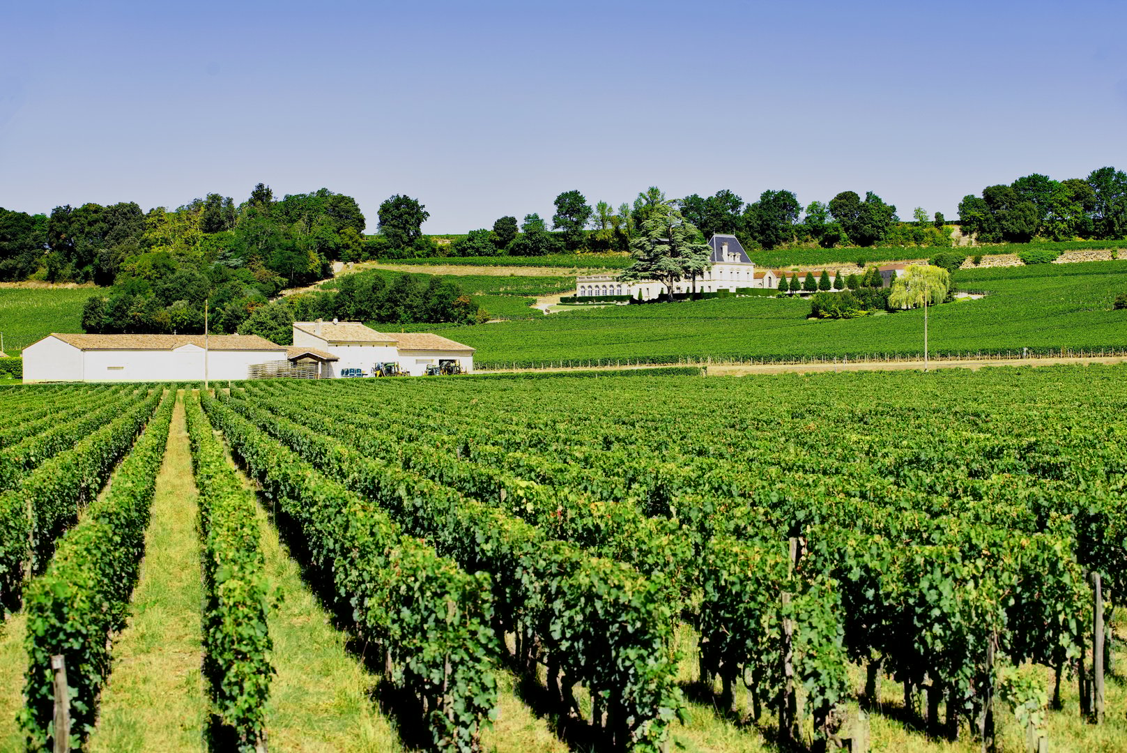 Essential Free Tour Saint-Emilion1