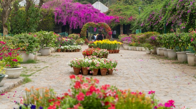 Free Tour Lodhi Gardens Delhi 5