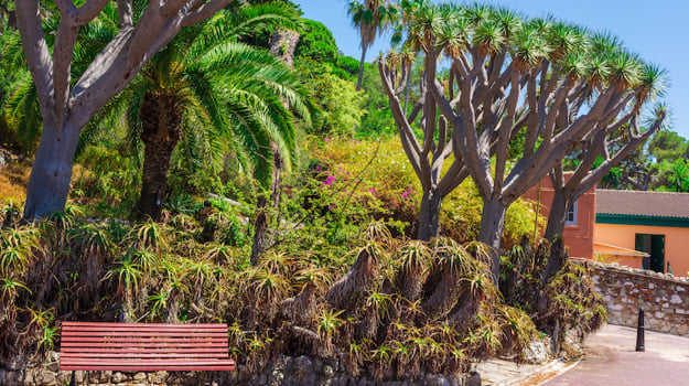 Essential Free Tour Gibraltar3