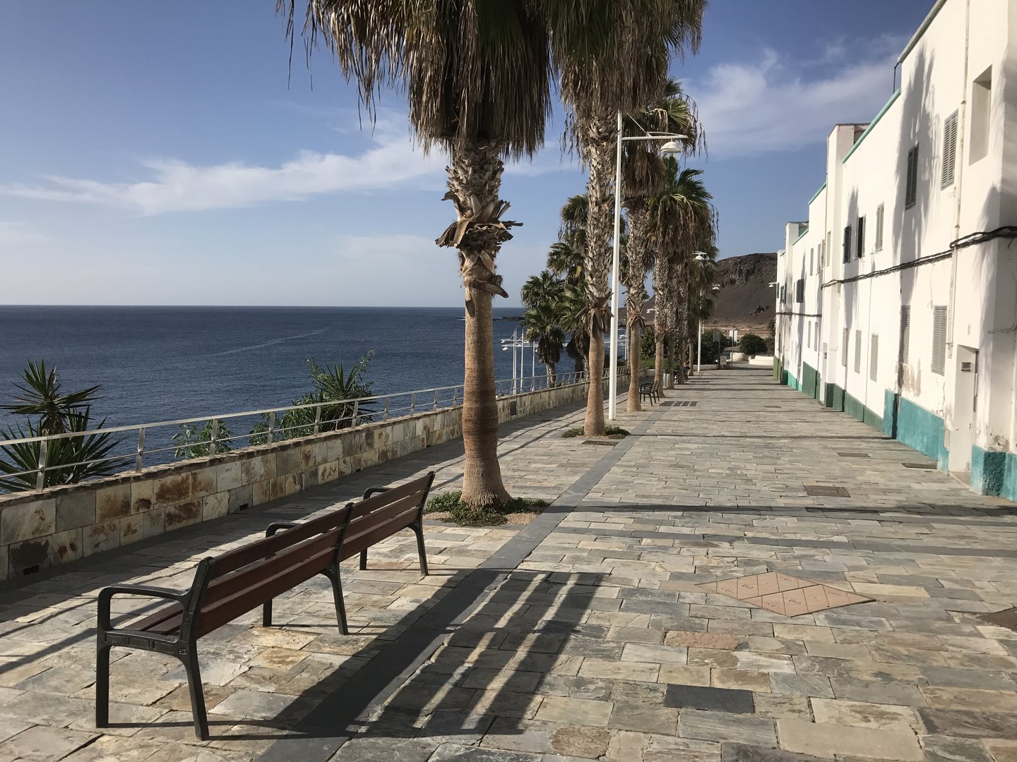 Free Las Canteras Tour Gran Canaria2