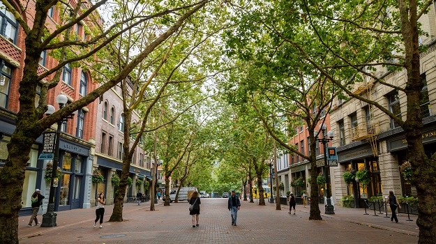 Essential Free Tour Seattle2