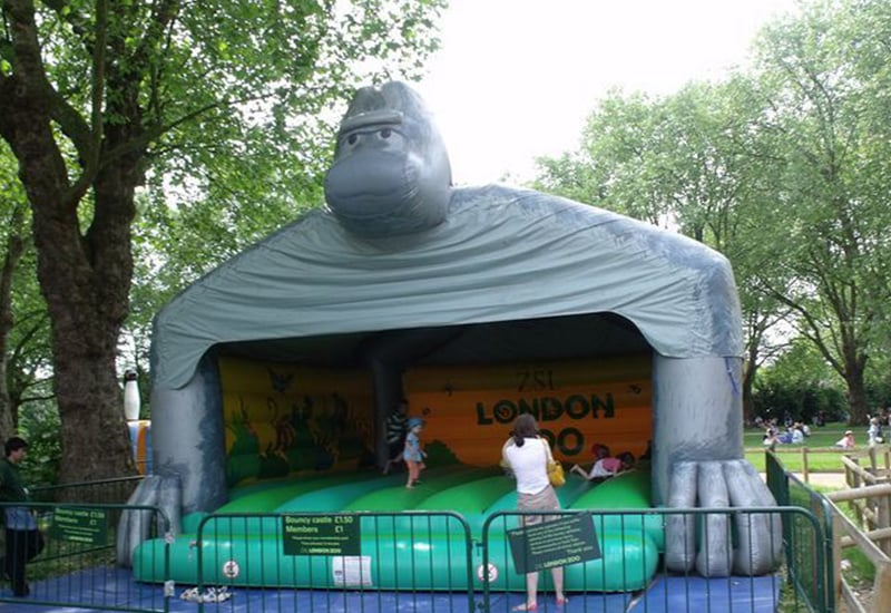 london zoo vip tour