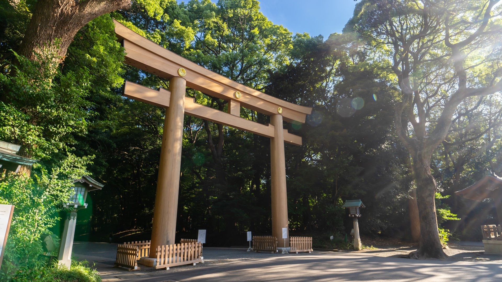 Free Shibuya Tour Tokyo1