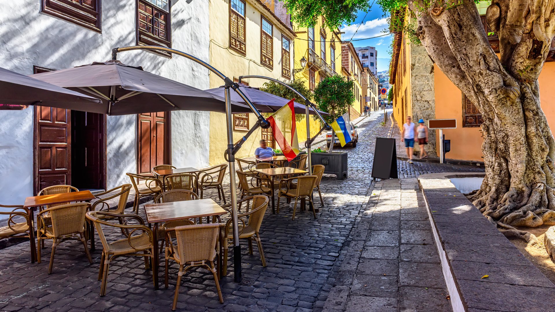 Free Icod de los Vinos Tour Tenerife4