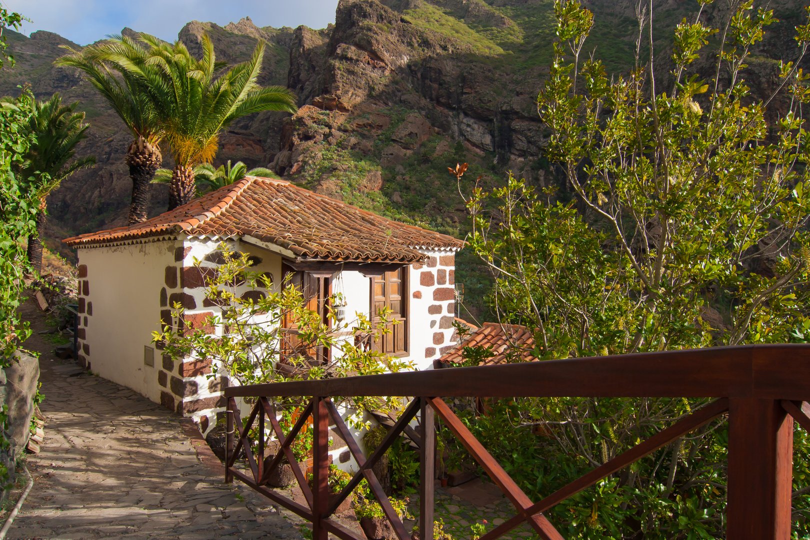 Free Masca Tour Tenerife4