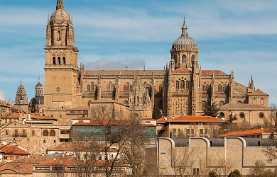 Essential Free Tour Salamanca