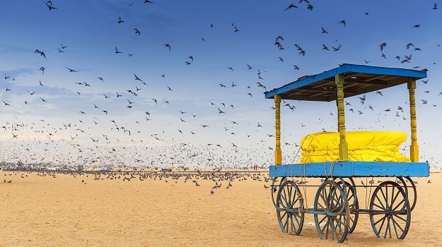 Essential Free Tour Chennai2