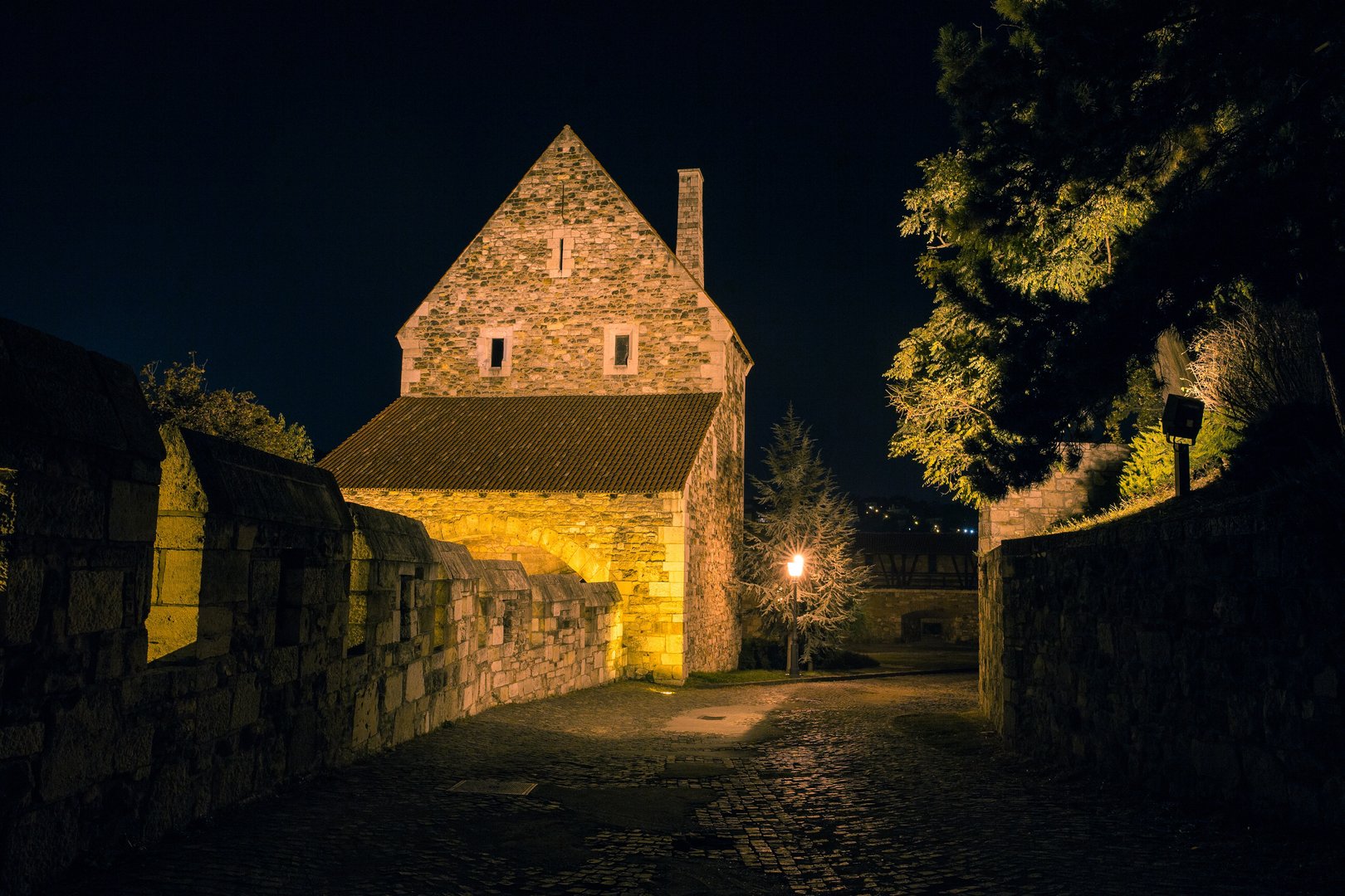 Free Buda by Night Tour Budapest3