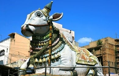 Madurai Highlights2
