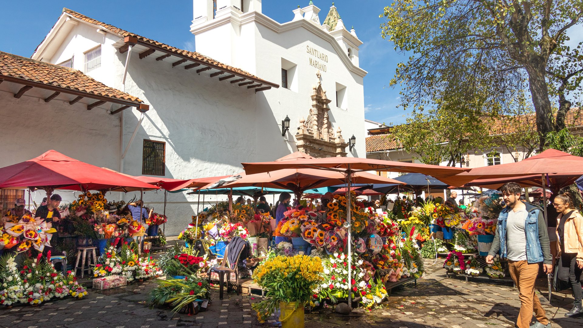 Essential Free Tour Cuenca4