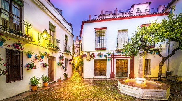Free Night Tour Cordoba3