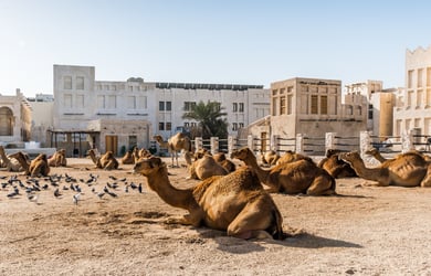 Free Souq Waqif Tour Doha Banner Small