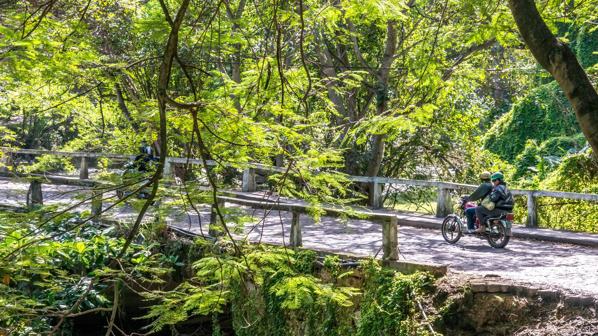 Free Green Spaces Motorcycle Tour Havana1