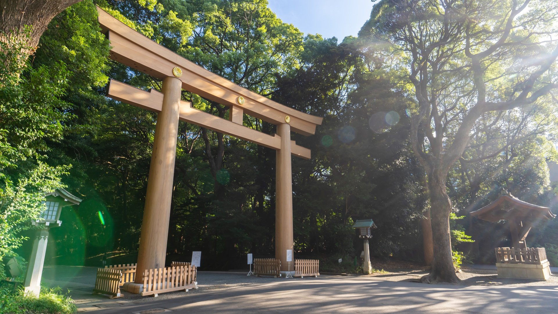 Free Meiji Shrine & Yoyogi Park Tour Tokyo1