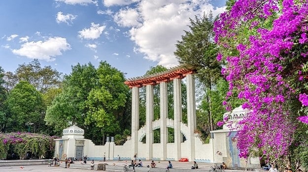 Free Roma & Condesa Tour Mexico City2