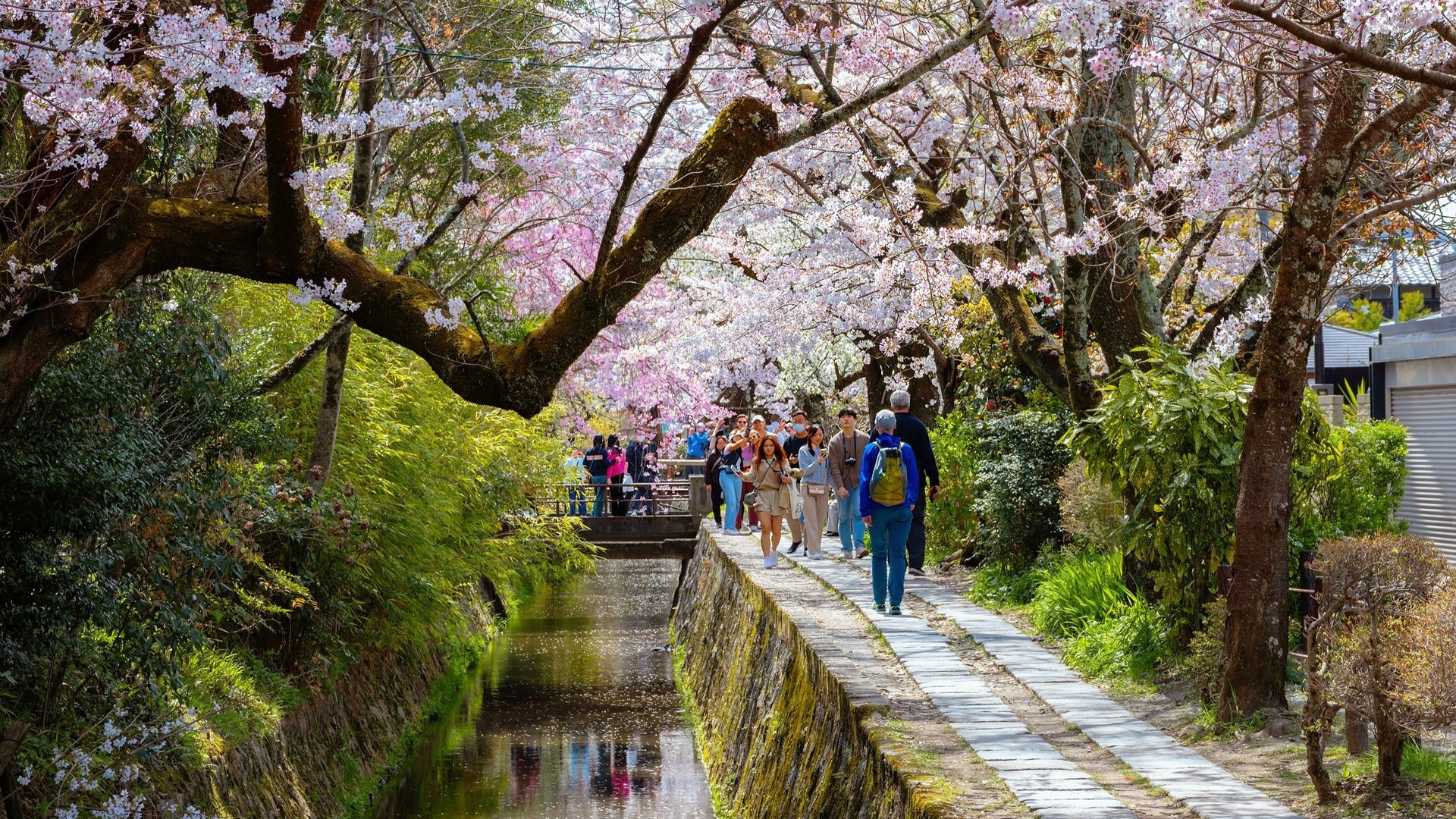 Free Nanzen-Ji Tour Kyoto3