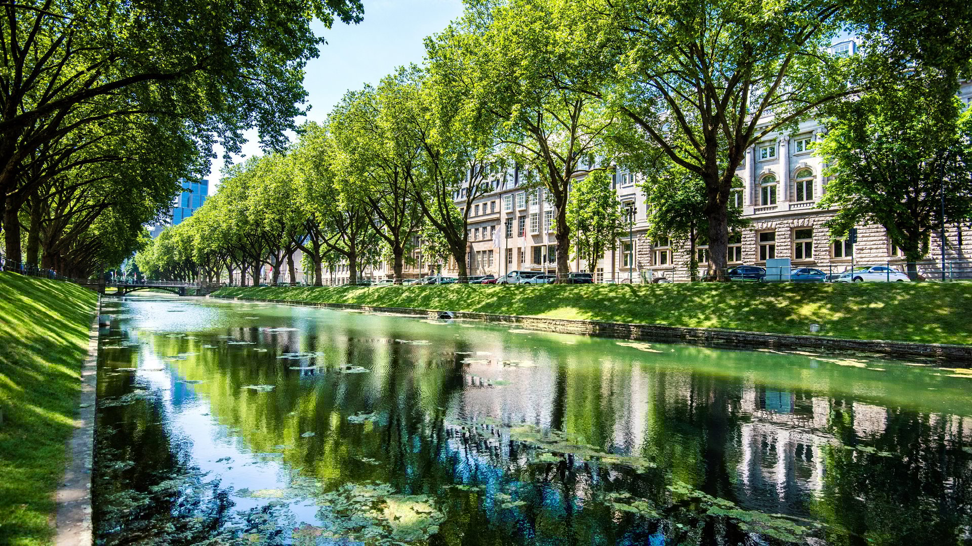 Essential Free Tour Dusseldorf5