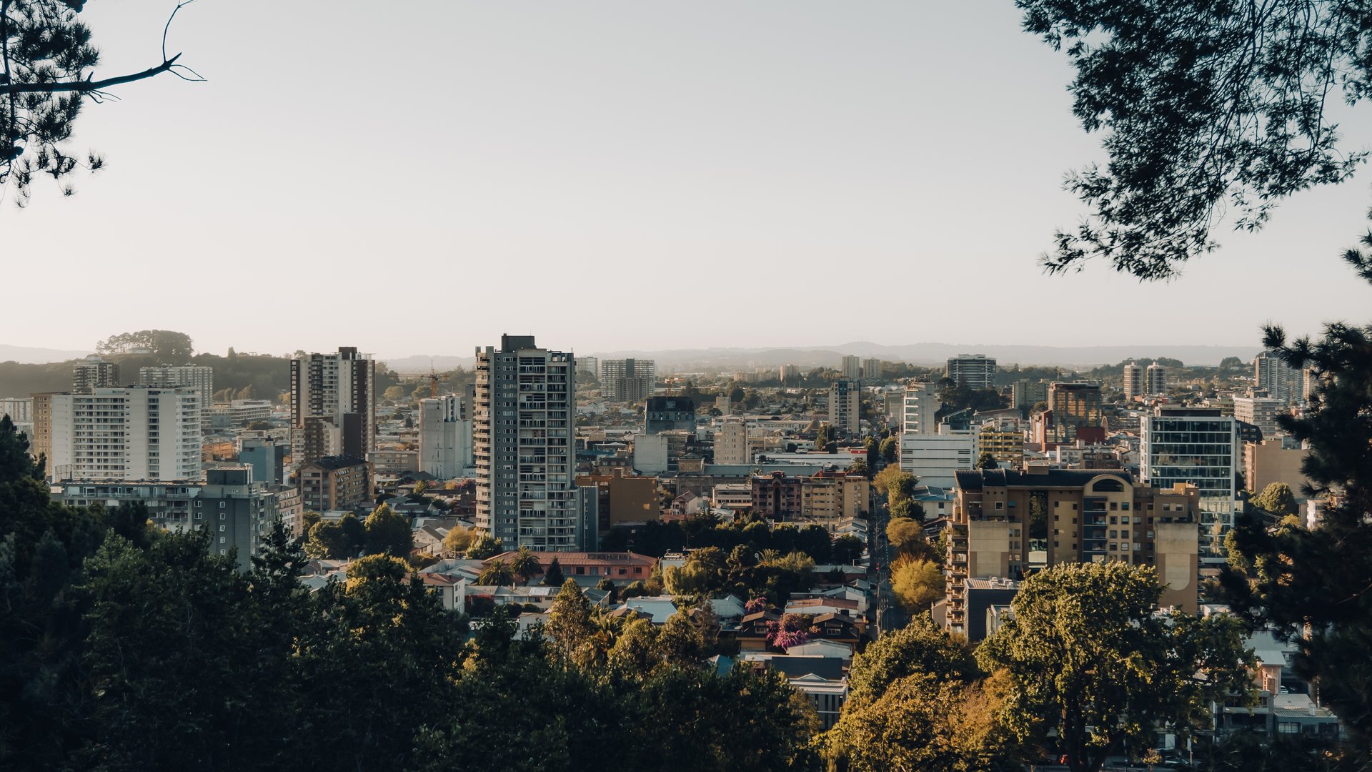 Essential Free Tour Concepcion3