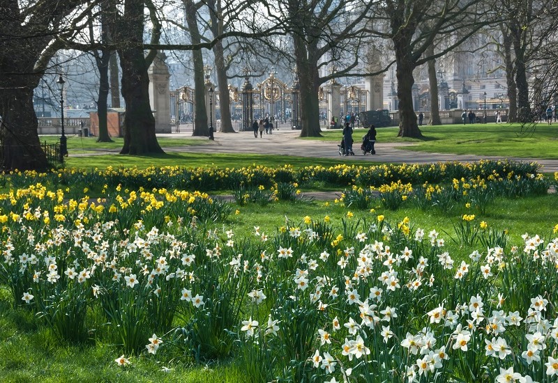 The Ultimate Guide To Visiting Buckingham Palace2