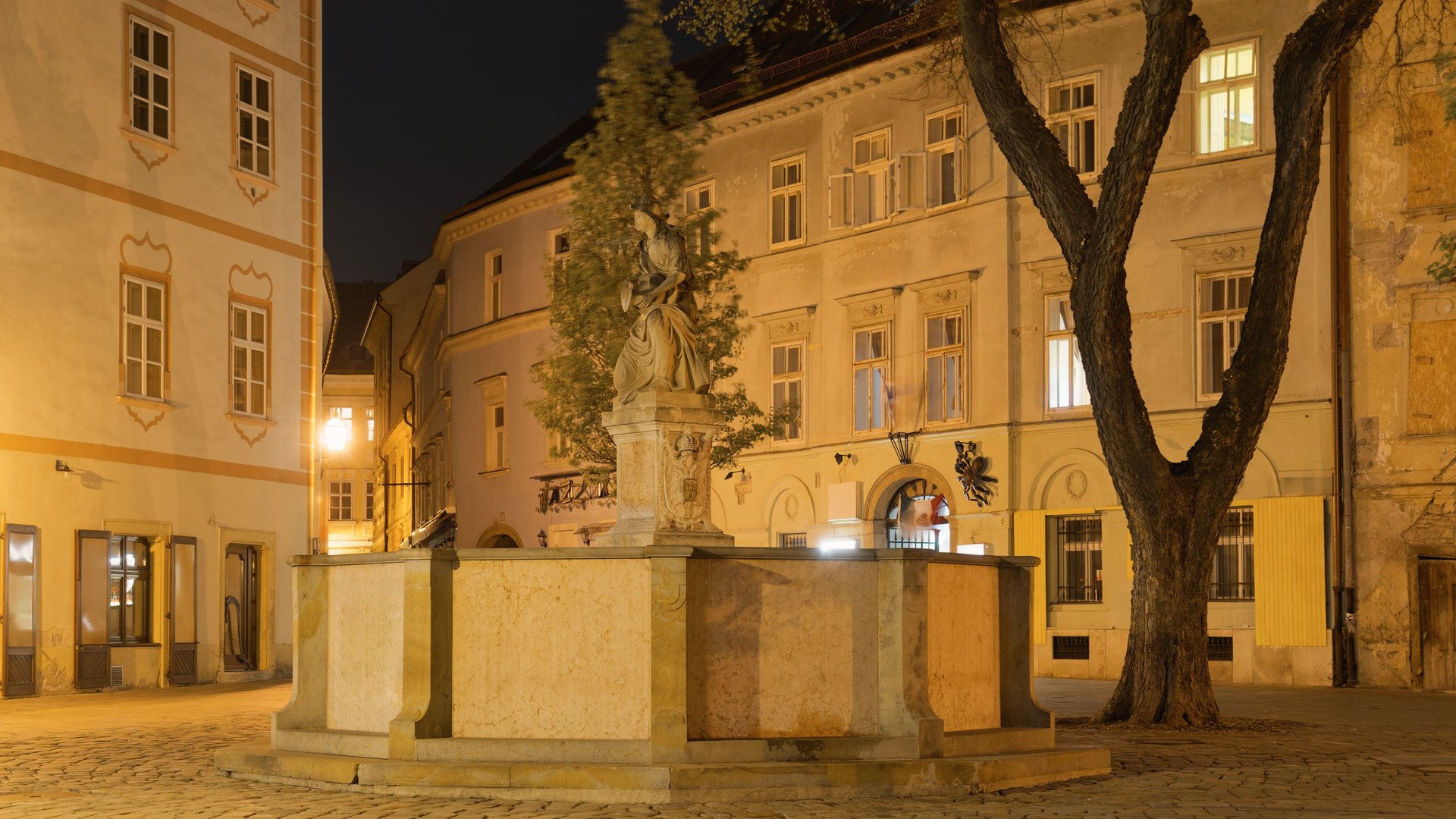 Free Night Tour Bratislava4