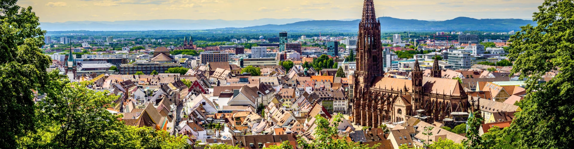 free walking tours freiburg