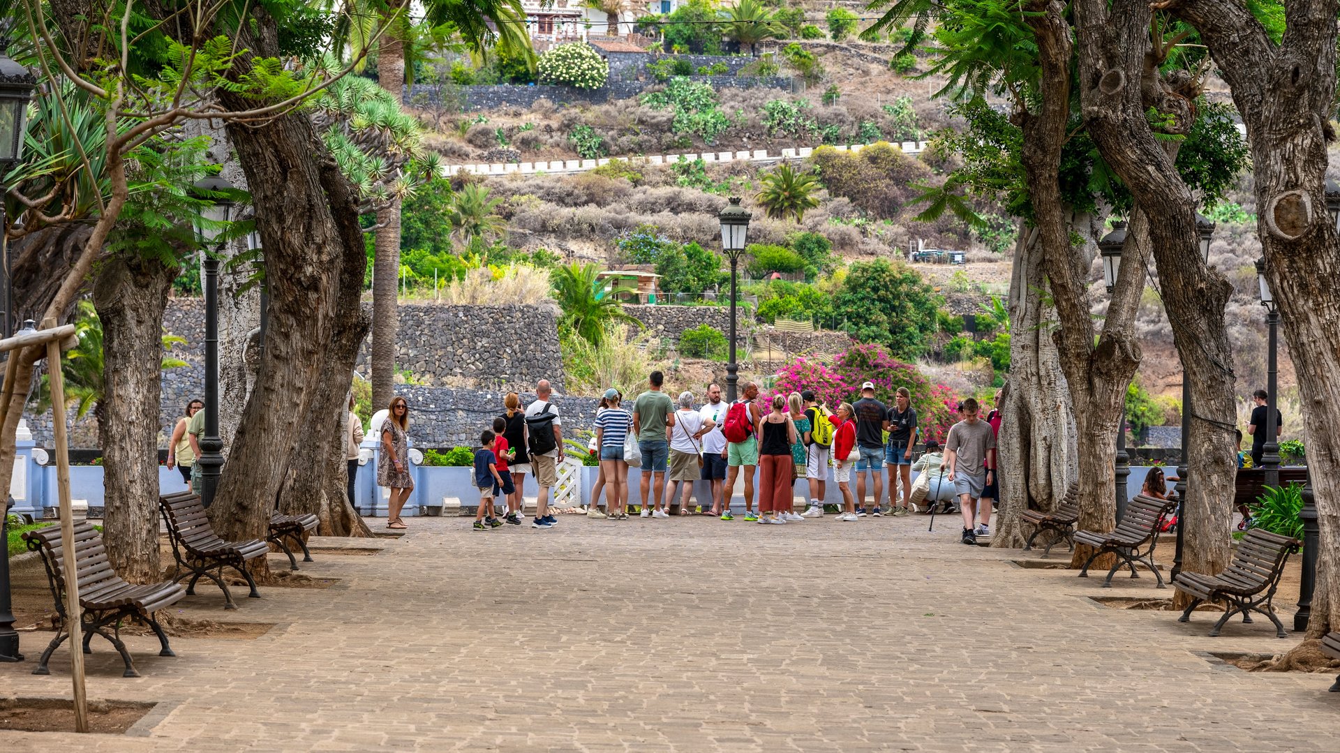 Free Icod de los Vinos Tour Tenerife2