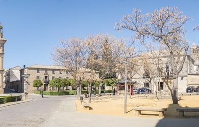 Ubeda Skyline