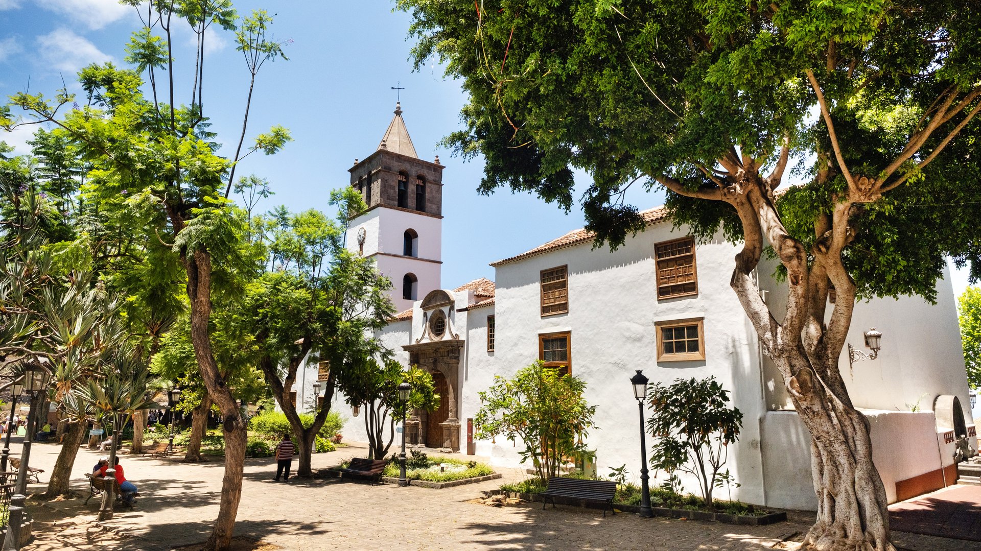 Free Icod de los Vinos Tour Tenerife3