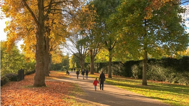 Essential Free Tour Cardiff2