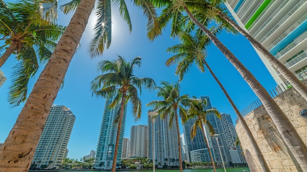 Essential Free Tour Miami5