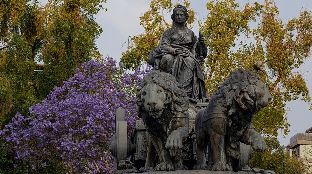 Free Roma & Condesa Tour Mexico City1