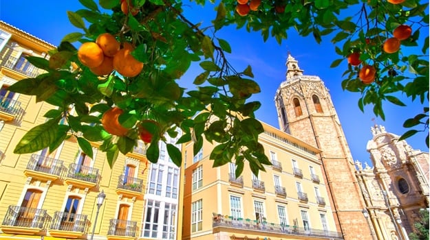 Essential Free Tour Valencia4