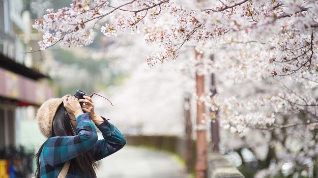 Essential Free Tour Kyoto3