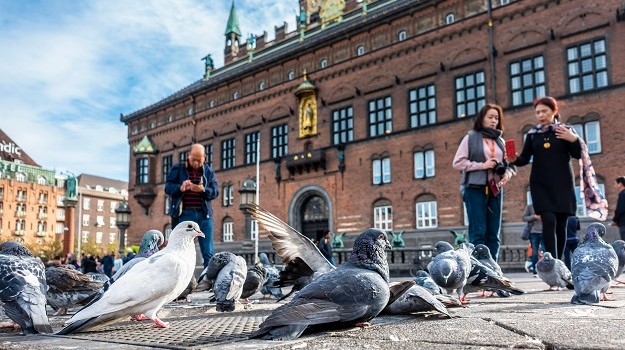 CopenhagenAlternativeTour4