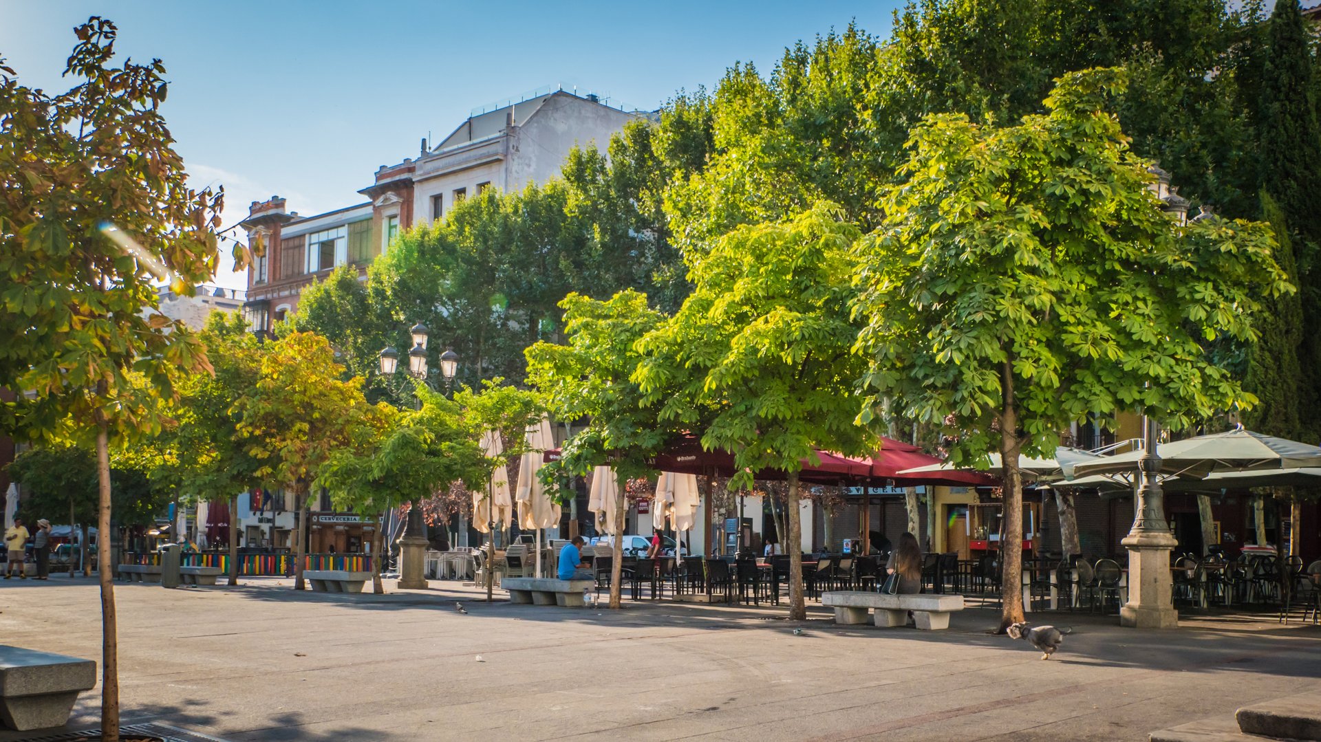 Free Women's Legacy Tour Madrid3