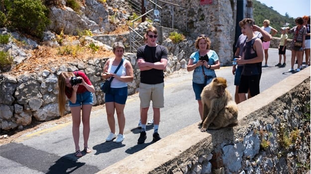 Essential Free Tour Gibraltar4