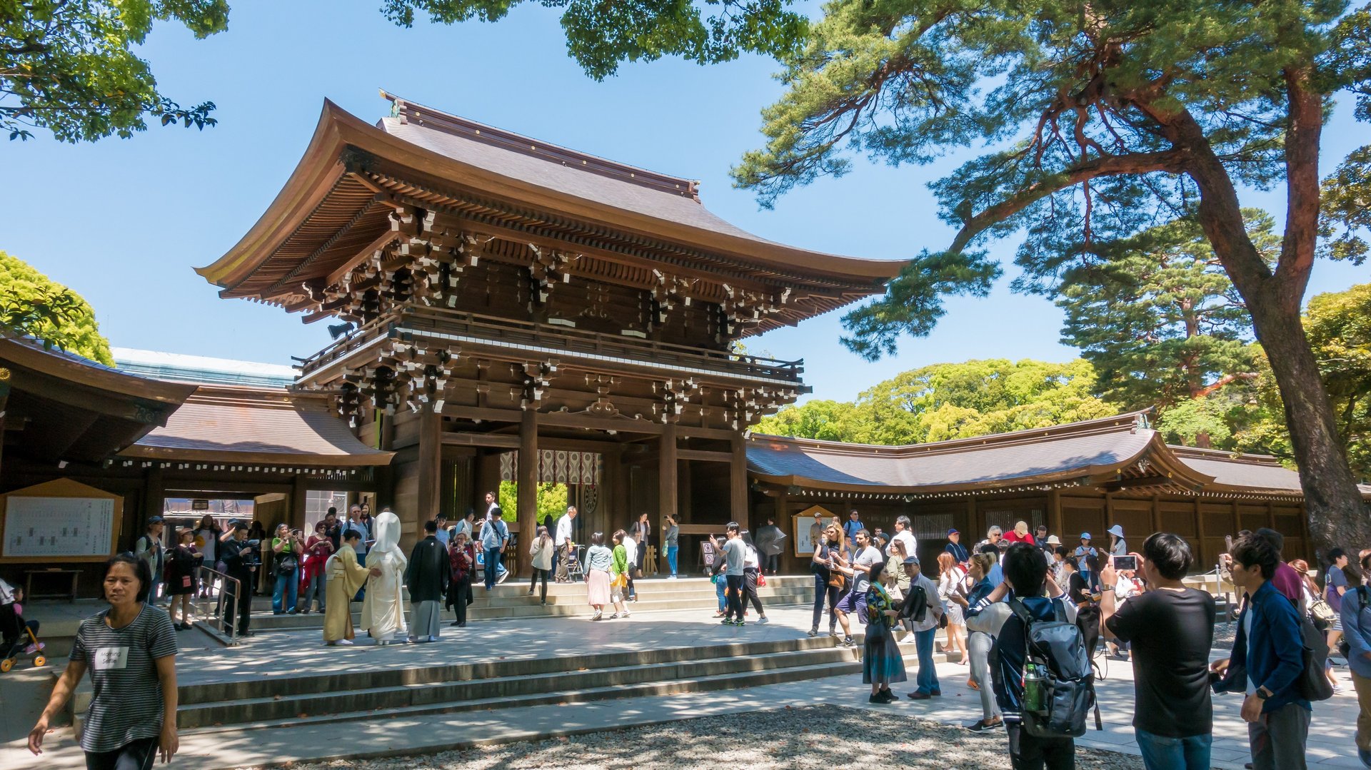 Free Meiji Shrine & Yoyogi Park Tour Tokyo2