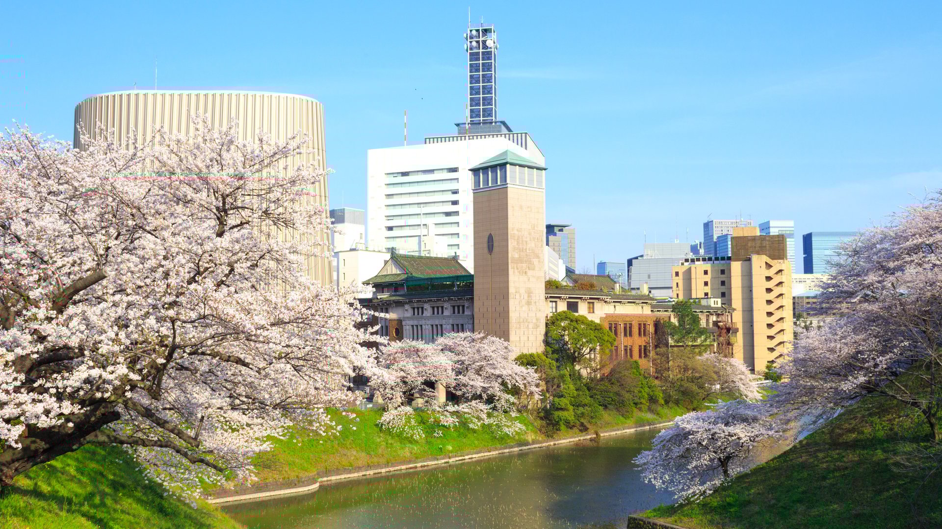 Free Self-Guided Tour Tokyo5