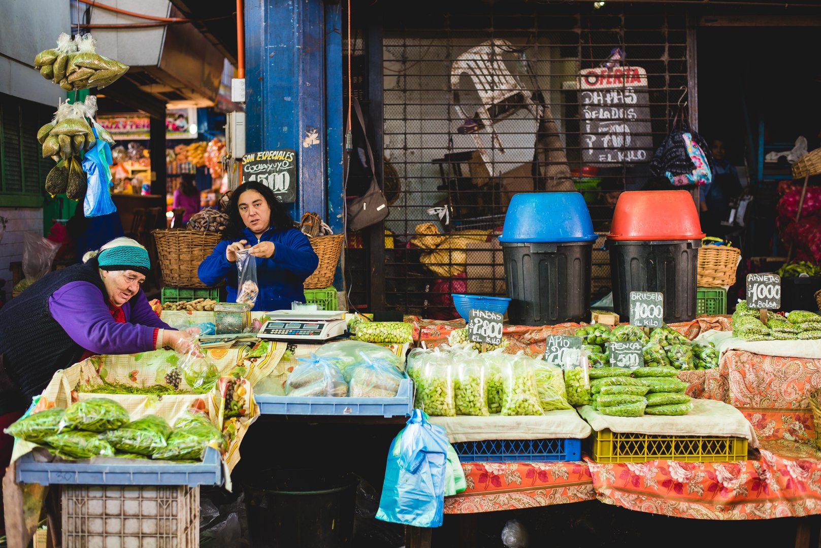 Free Franklin Tour Santiago3