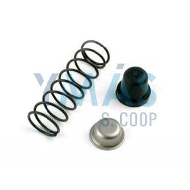 CONJUNTO MUELLE-TOPE 5172-5411-B