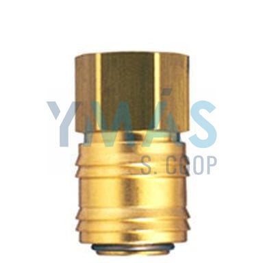 CONEXION 1/2 H 11010422=(11010122)