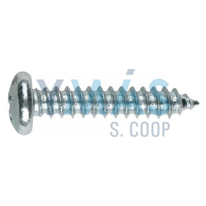 TORNILLO R CHAPA DIN7981 4,2X22 ZINCADO